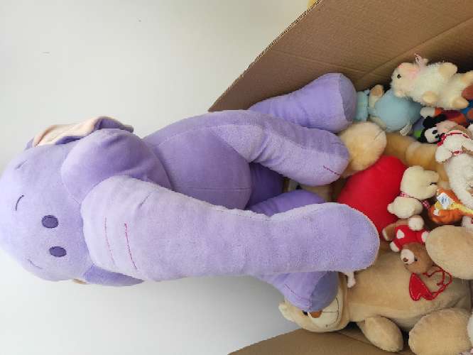 REGALO peluches y libros infantiles 2