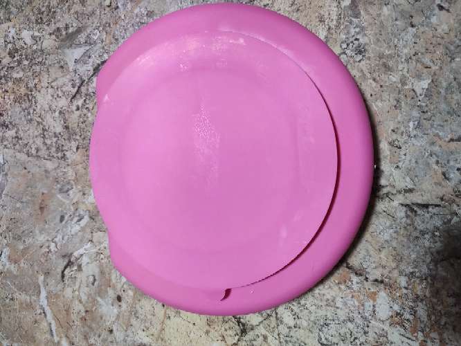 REGALO plato entrenador 