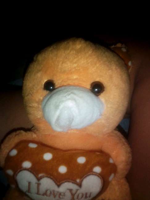 REGALO osito de peluche