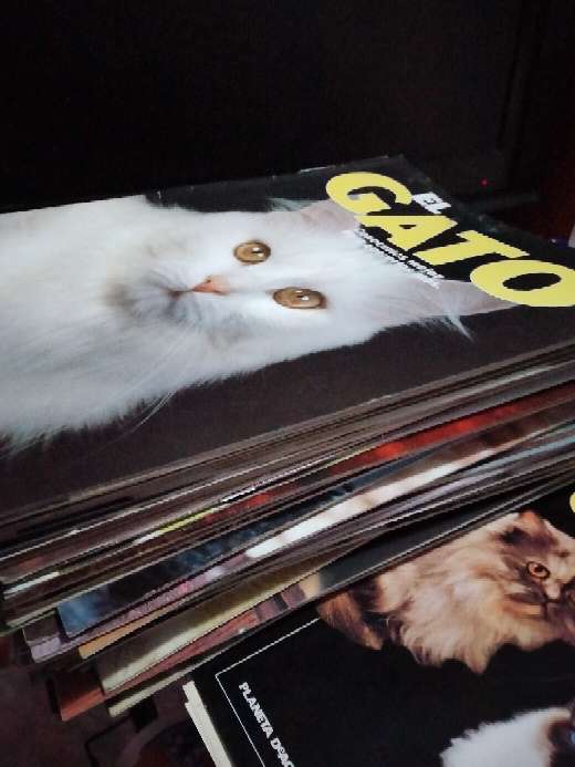 REGALO Fascculos de El Gato 2