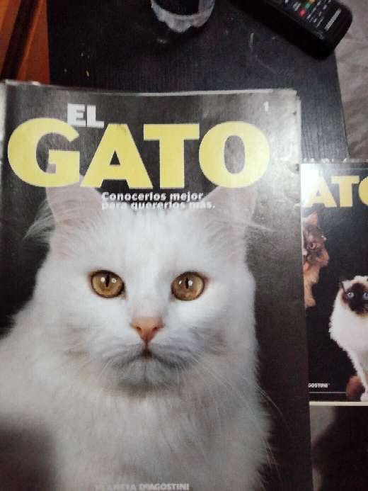 REGALO Fascculos de El Gato