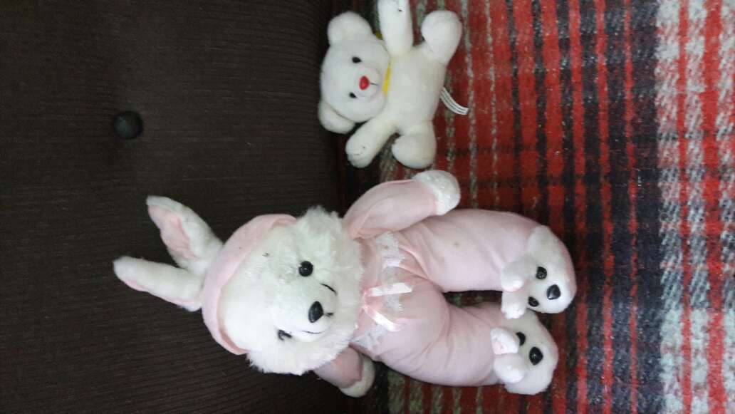 REGALO peluches 1