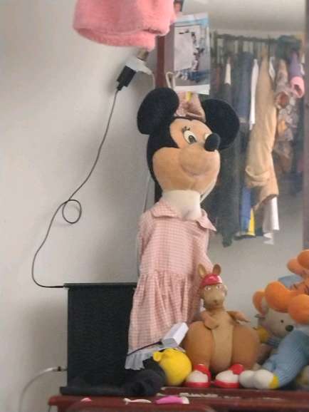 REGALO guarda Ropa Interior Mickey