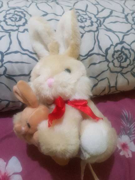 REGALO peluche  1