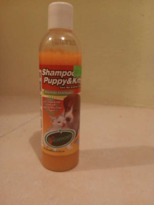 REGALO Anti-Flea shampoo ( gatitos y perritos) 1