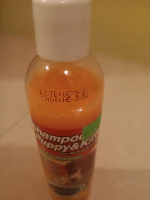 REGALO Anti-Flea shampoo ( gatitos y perritos) 2