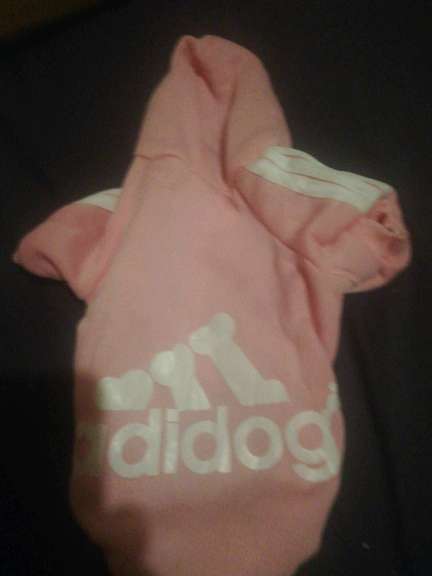 REGALO Ropa de perrito 