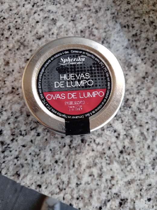 REGALO salmon 2