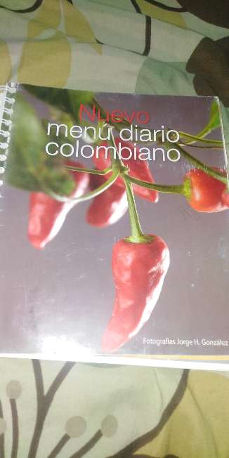 REGALO Libro de recetas para comidas  2