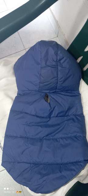 REGALO chaqueta impermeable raza pequea 2