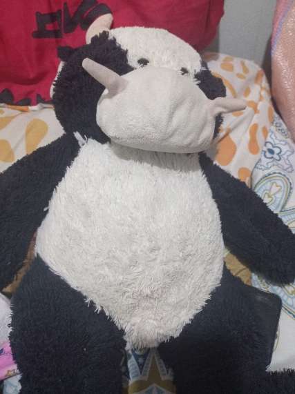 REGALO peluche 3