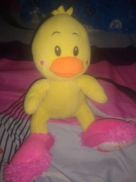 REGALO patito de peluche 