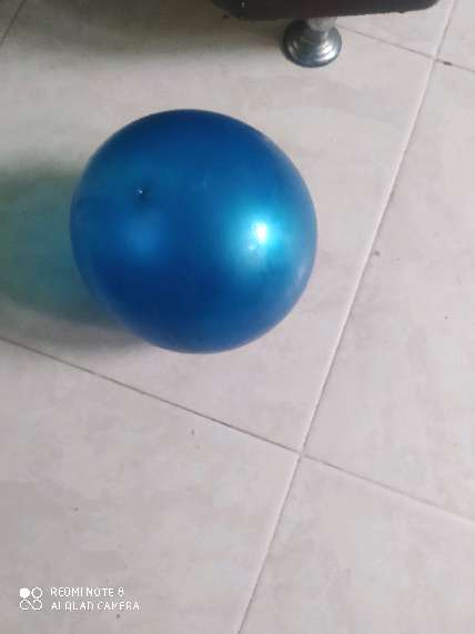 REGALO pelota