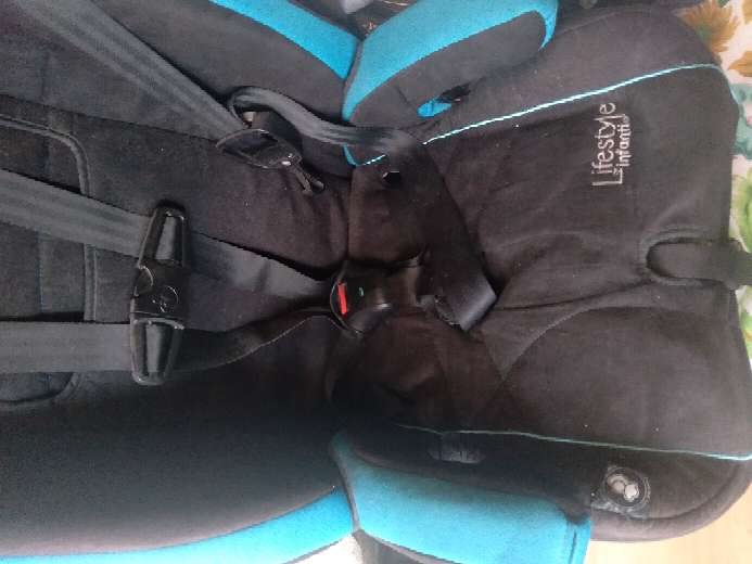 REGALO silla pota bbs para auto  2