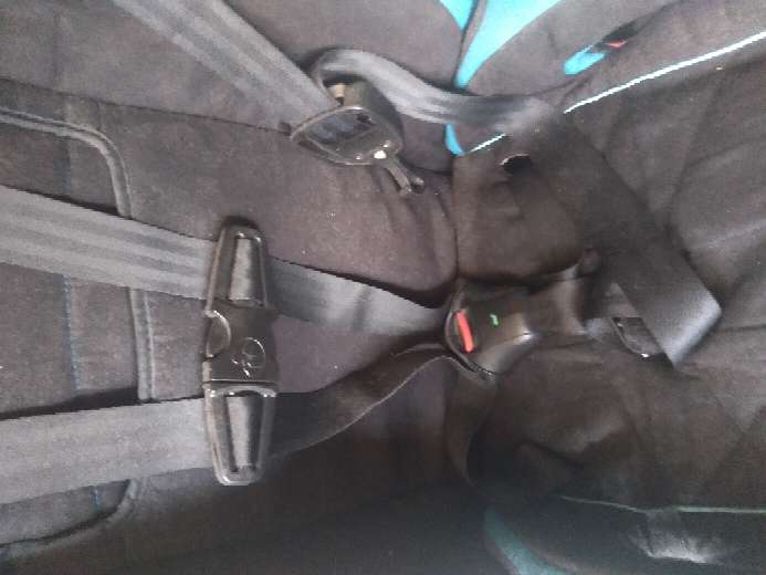 REGALO silla pota bbs para auto  4