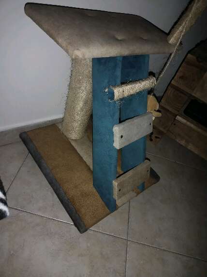 REGALO gimnasio para gato REGALO gimnasio para gato
