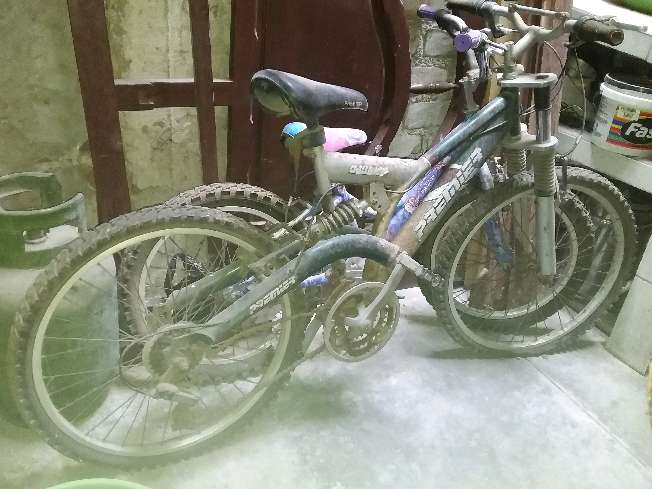 REGALO Bicicletas 2