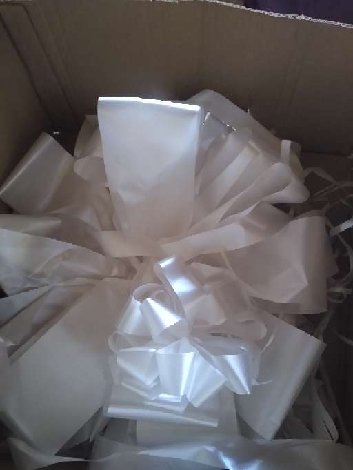 REGALO moo para auto 2