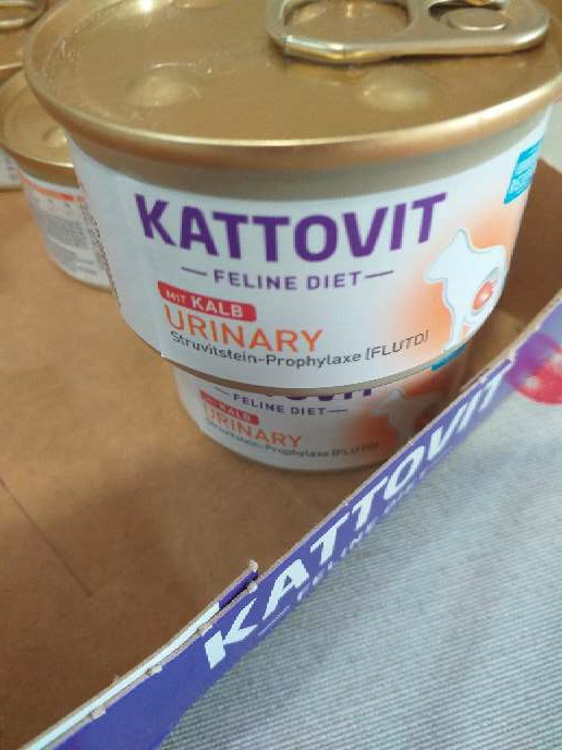 REGALO Latas Katovit Felino REGALO Latas Katovit Felino