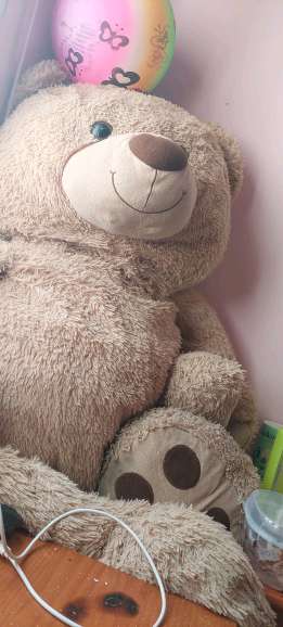 REGALO Oso gigante de peluche 1