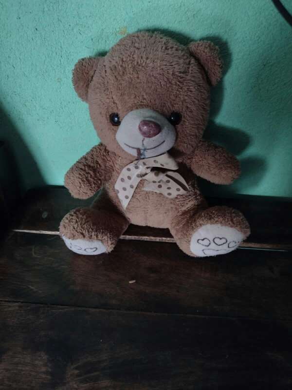 REGALO oso de peluche  1