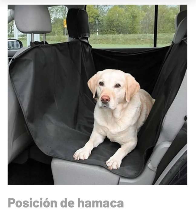 REGALO Lona protectora de asiento de coche para perro. 3