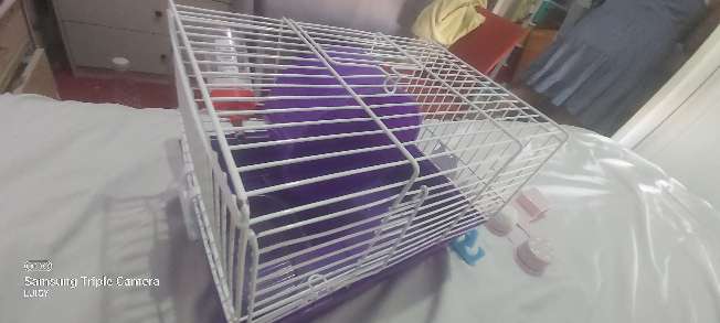 REGALO jaula de hamster REGALO jaula de hamster