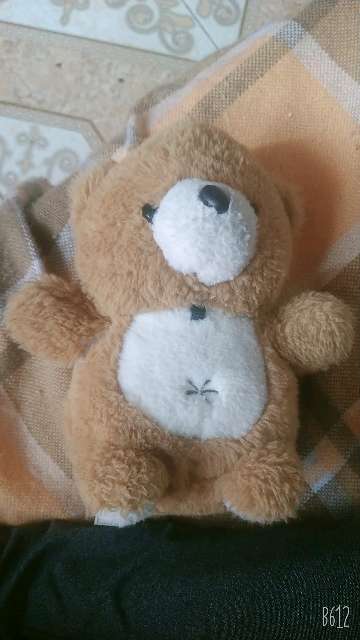 REGALO oso REGALO oso