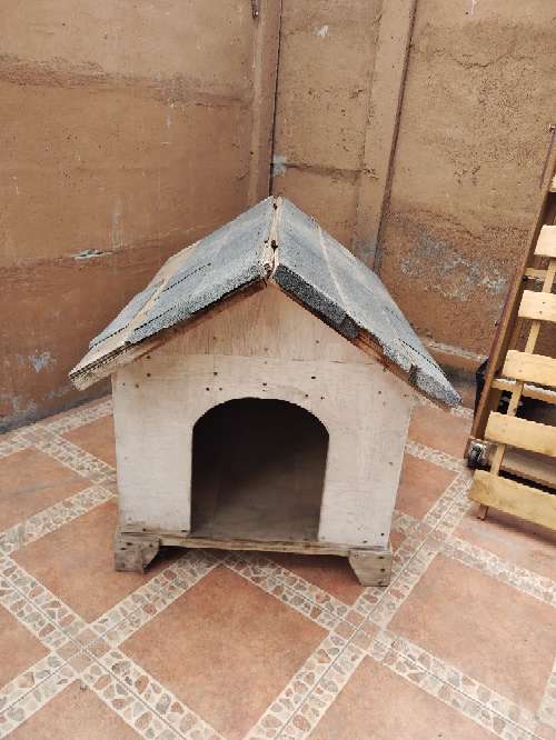 REGALO Se regala casa de perro 4