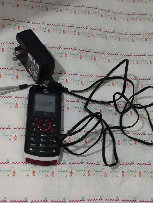 REGALO celular Motorola  2