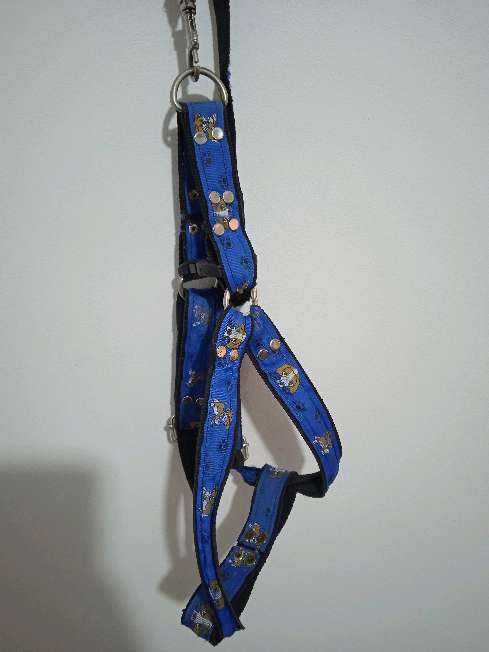REGALO arns para perro  2