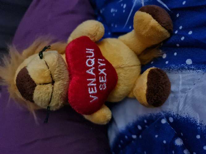 REGALO peluche 2