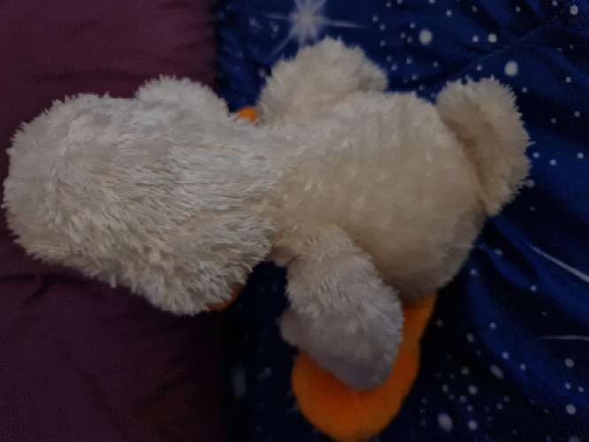 REGALO peluche  2