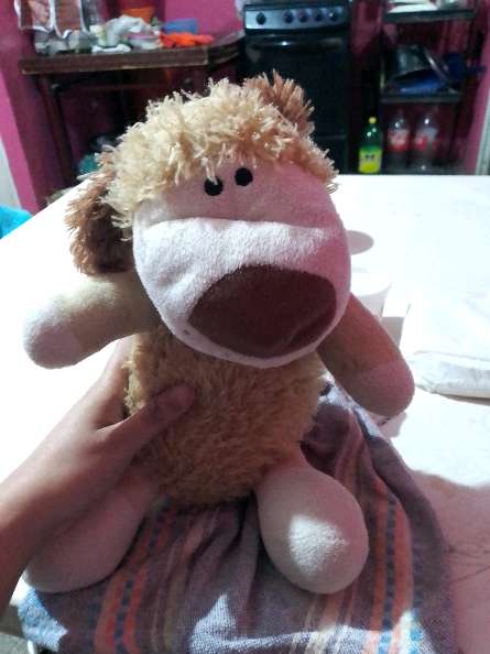 REGALO peluche  1