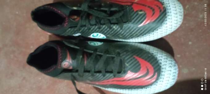 REGALO Chimpunes nuevos 1