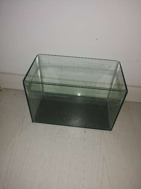 REGALO Don a acuario para peces pequeo...  2