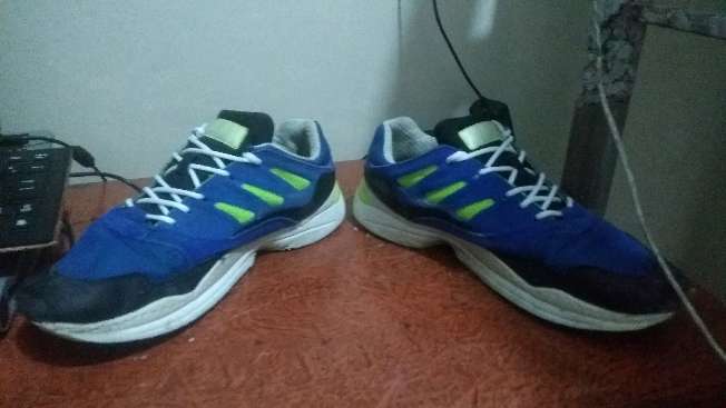 REGALO Zapatos deportivos  3