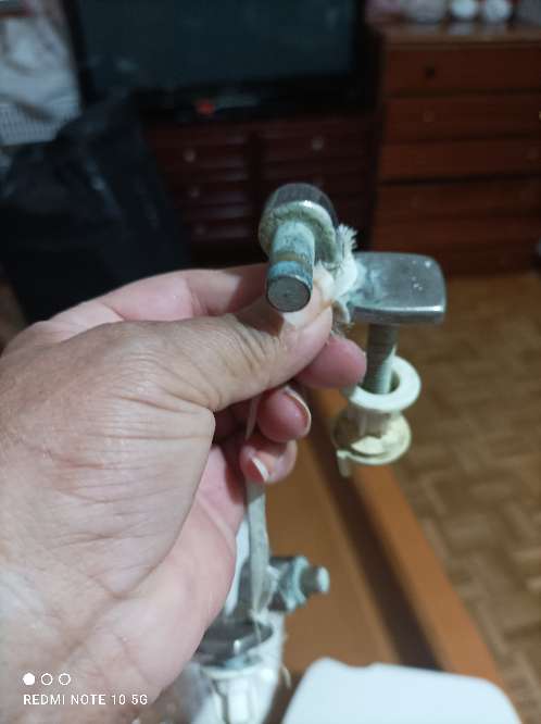 REGALO tapa wc 4