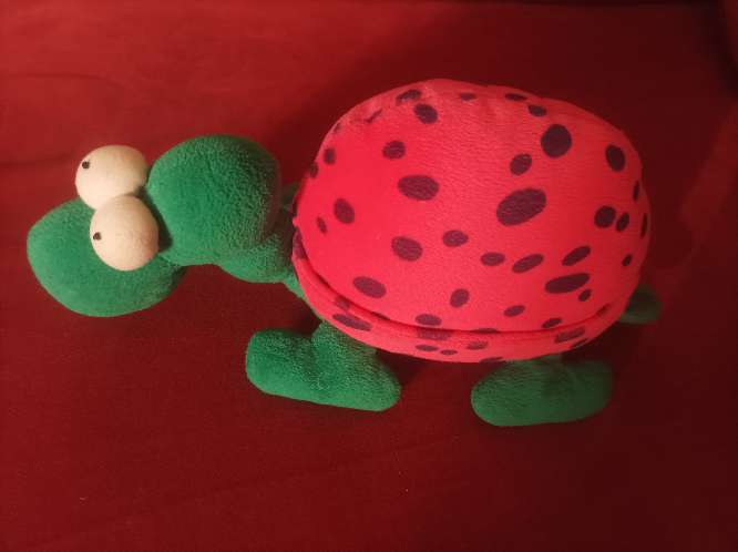 REGALO Peluche tortuga  1