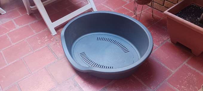 REGALO cama de plástico para perro REGALO cama de plástico para perro