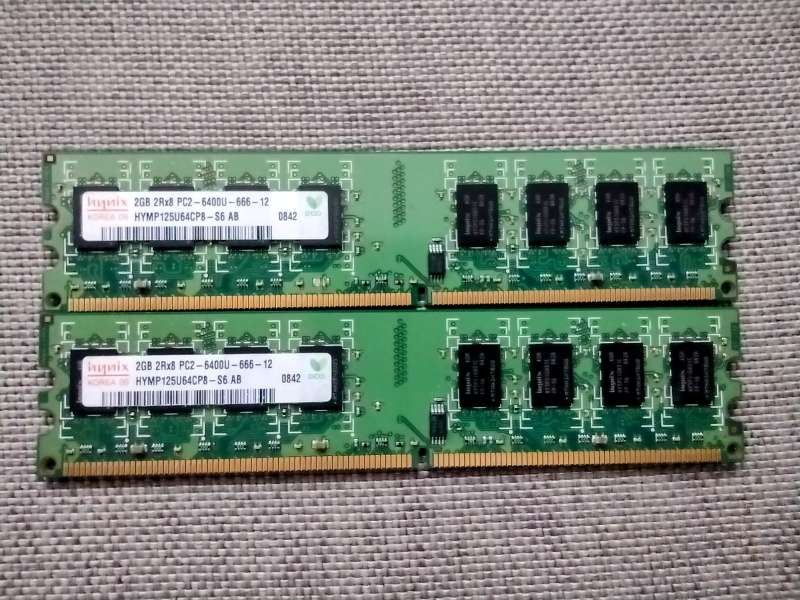 REGALO Memoria RAM DDR2 2GB Hynix PC2-6400 (800 MHz) REGALO Memoria RAM DDR2 2GB Hynix PC2-6400 (800 MHz)