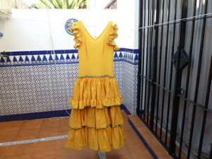 CAMBIO Trajes Flamenca 3