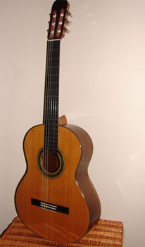 REGALO Guitarra espaola