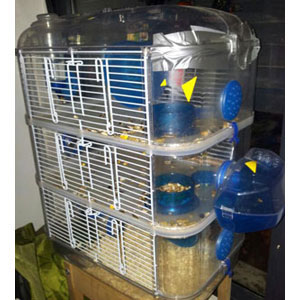 REGALO jaula para hamster