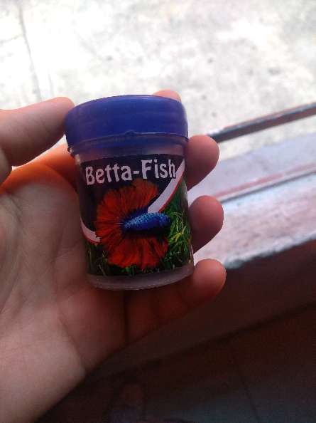 REGALO comida para pez beta 1