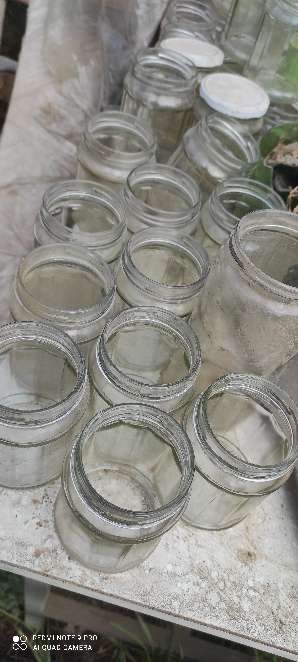 REGALO ms de 50 botellas de vidrio 