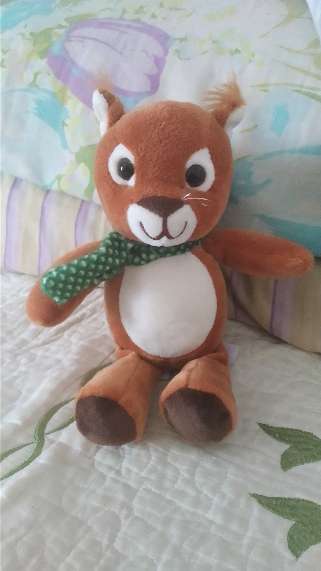 REGALO ardilla REGALO ardilla